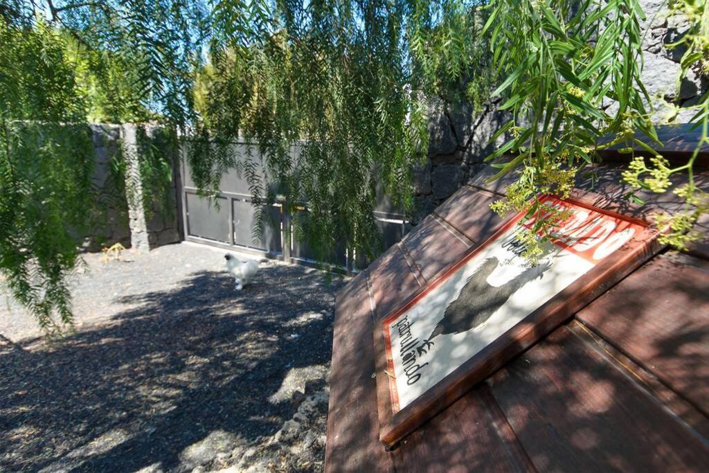 Casa Gasparini Tahiche エクステリア 写真
